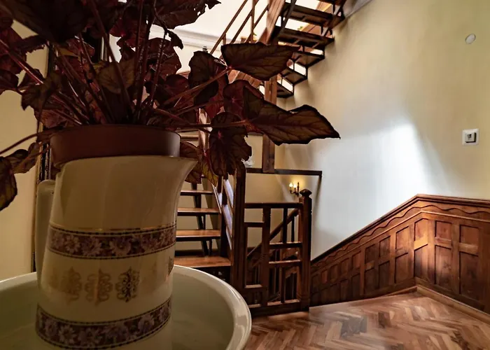 招待所 My Guest 普罗夫迪夫