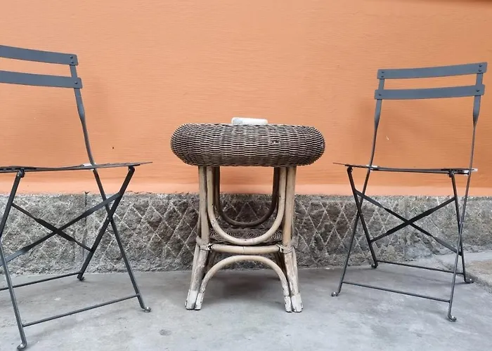 My Guest 普罗夫迪夫