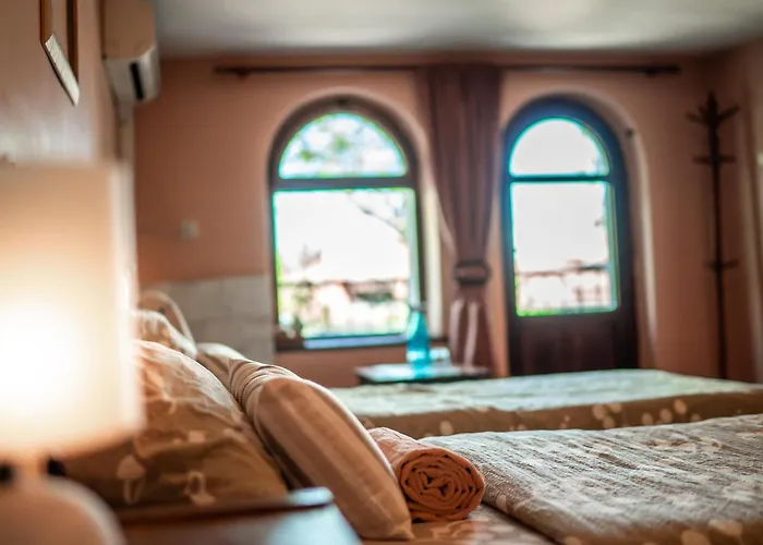 My Guest 招待所 普罗夫迪夫