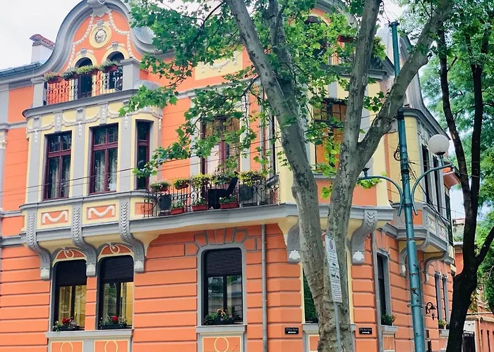 My Guest 普罗夫迪夫