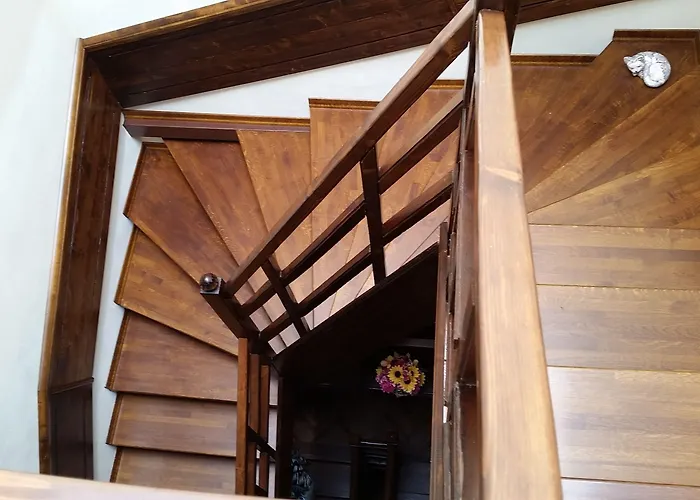 My Guest 普罗夫迪夫