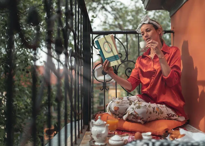 My Guest 普罗夫迪夫