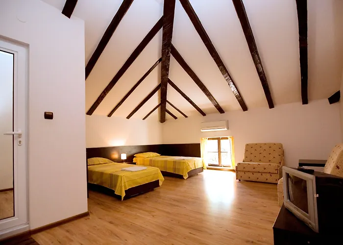 My Guest 普罗夫迪夫