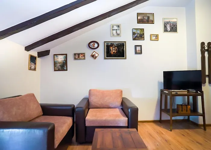 My Guest 普罗夫迪夫