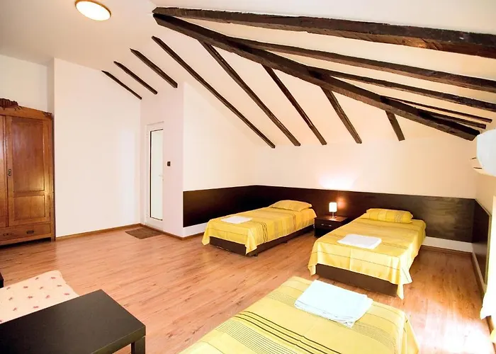 My Guest 普罗夫迪夫