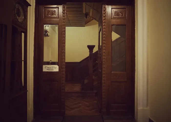 My Guest 普罗夫迪夫