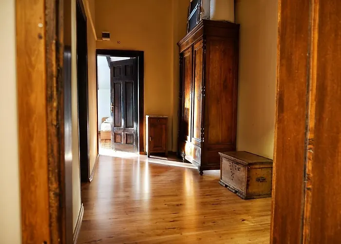 My Guest 普罗夫迪夫